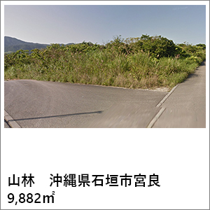 山林　沖縄県石垣市宮良　9,882㎡