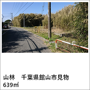 山林　千葉県館山市見物　639㎡